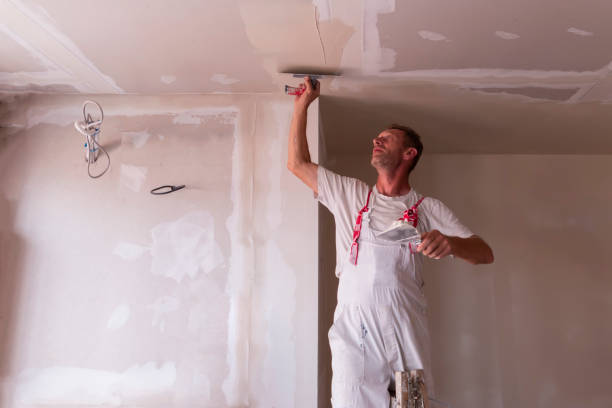 Best Drywall Removal and Disposal  in Oneonta, NY